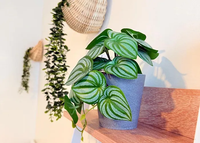 Antara Residential Aparthotel Talisay (Cebu)